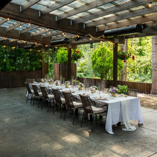 L1040164 Large Sparrow - Best Restaurants Kirkland | Seattle's Best Restaurants | Patio